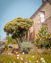 Ameline Arbora image 17