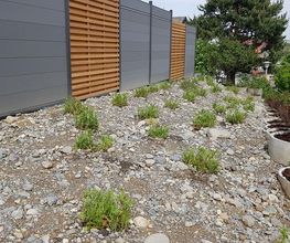 BRÜHWILER-GARTENBAU, BAUMPFLEGE Bild 13