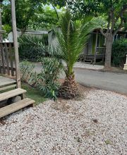 Elag'Frontignan image 5