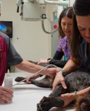 Carbon County Veterinary Hospital image 15