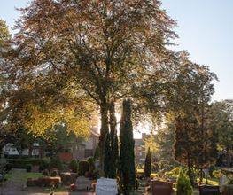 Evangelischer Pfarrfriedhof Duisburg Meiderich, Foto: Andreas Reinsch