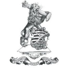Steinmetz Kling logo