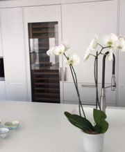 Philippe Maréchal SA Bild 9