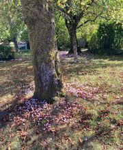 BONNET PAYSAGE image 3