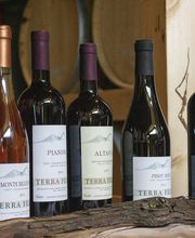 Gallery Professionale