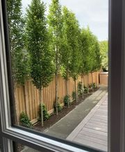 SULA Gartenbau GmbH Bild 7