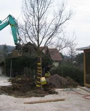 Gaertnerei in Basel-Stadt