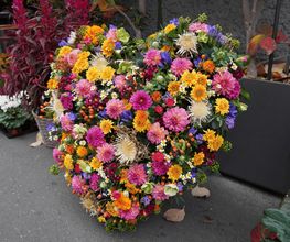 Blumensaison Bild 6