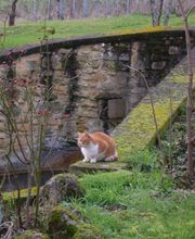 Aux Trois Sources image 11