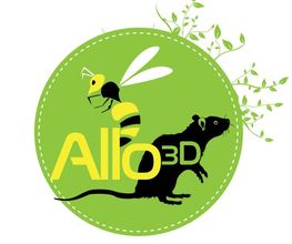 Allo 3D image 6