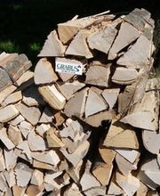 Forstgemeinschaft Grabus Bild 4