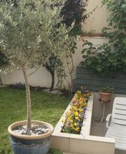 la Thibaudière - Grand Paris image 15