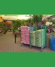 Notre Jardin Propre image 14