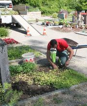Blumen & Gärten Schalch AG Bild 1