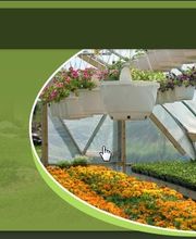 Evans Nursery LLC image 7