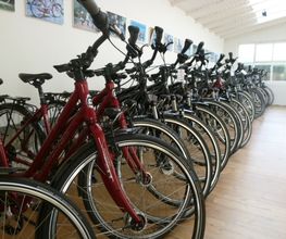Hamel Selected-Bikes Bild 5
