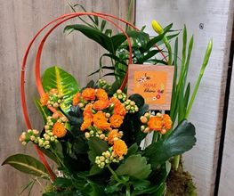 Au Coin Fleuri image 2