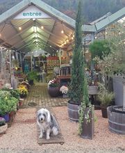 Espace Vert en Cévenne SARL image 1