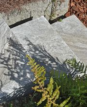 Gartenbau Schlup AG Bild 1