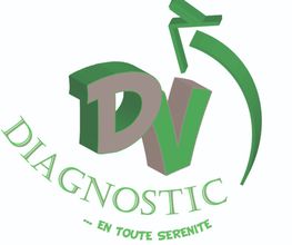 DV DIAGNOSTIC image 1