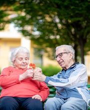 CDI Leopardi - Gruppo La Villa immagine 2