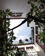 Schwan Roland Bild 8