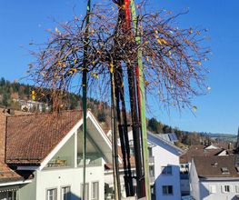 Arnold-Arnold GmbH Bild 3