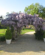 CHAMBRE DHOTE BARBECANE image 1