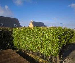 Les Jardins Secrets image 6