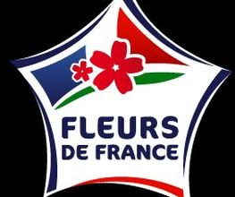 Ambiance de Fleurs image 2