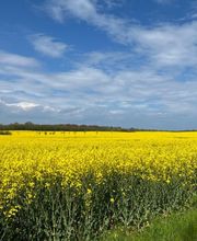 Ferienhäuser Barendorf Bild 2