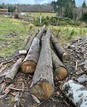 Exploitation Forestière Chanal Eric EFCE image 1