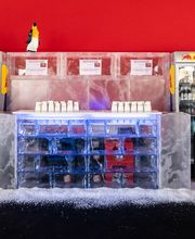 Uferzone Moritzburg Bild 8