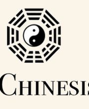 Andrea Fabian und Kollegen - Privatinstitut für Chinesische Medizin Karlsruhe Bild 2