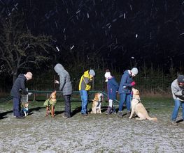 Hundeschule Komm Bild 6