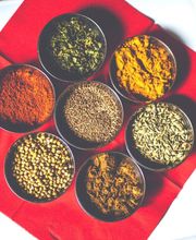 Panjabi Shaan Inh. Amarjit Singh Bild 13