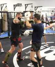 Ecole de boxe pugilistique et de sport associé image 3