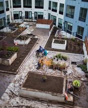 Landscape Solutions image 9