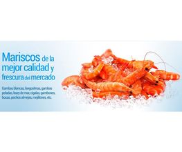 Congelados Disel imagen 16