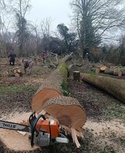 Arbres Verts Outters Outters Xavier image 3