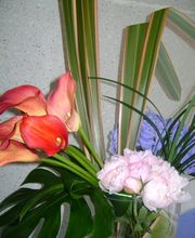 Atelier Cagna-Fleurs Bild 8