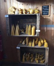 Abeille De Ré image 5