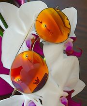 Optik Ming Brill Bild 4