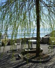 la Perlaz EMS de la Béroche Bild 4