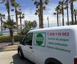 servcontrol_plagas_08.jpg
