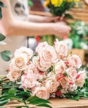 Gartenbau Stefan Lampert Bild 2