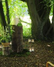 Wald-Zeremonien Bild 9