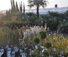 Jardinerie Teyssier image 2