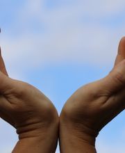 Bizeul Brigitte image 8