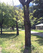 Camping Résidentiel Le Villard image 10